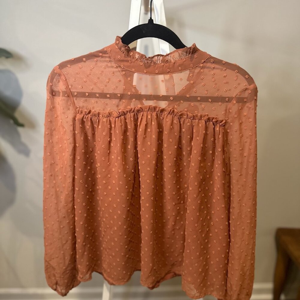 Altar'd State - Pink Chiffon Clip Dot Blouse